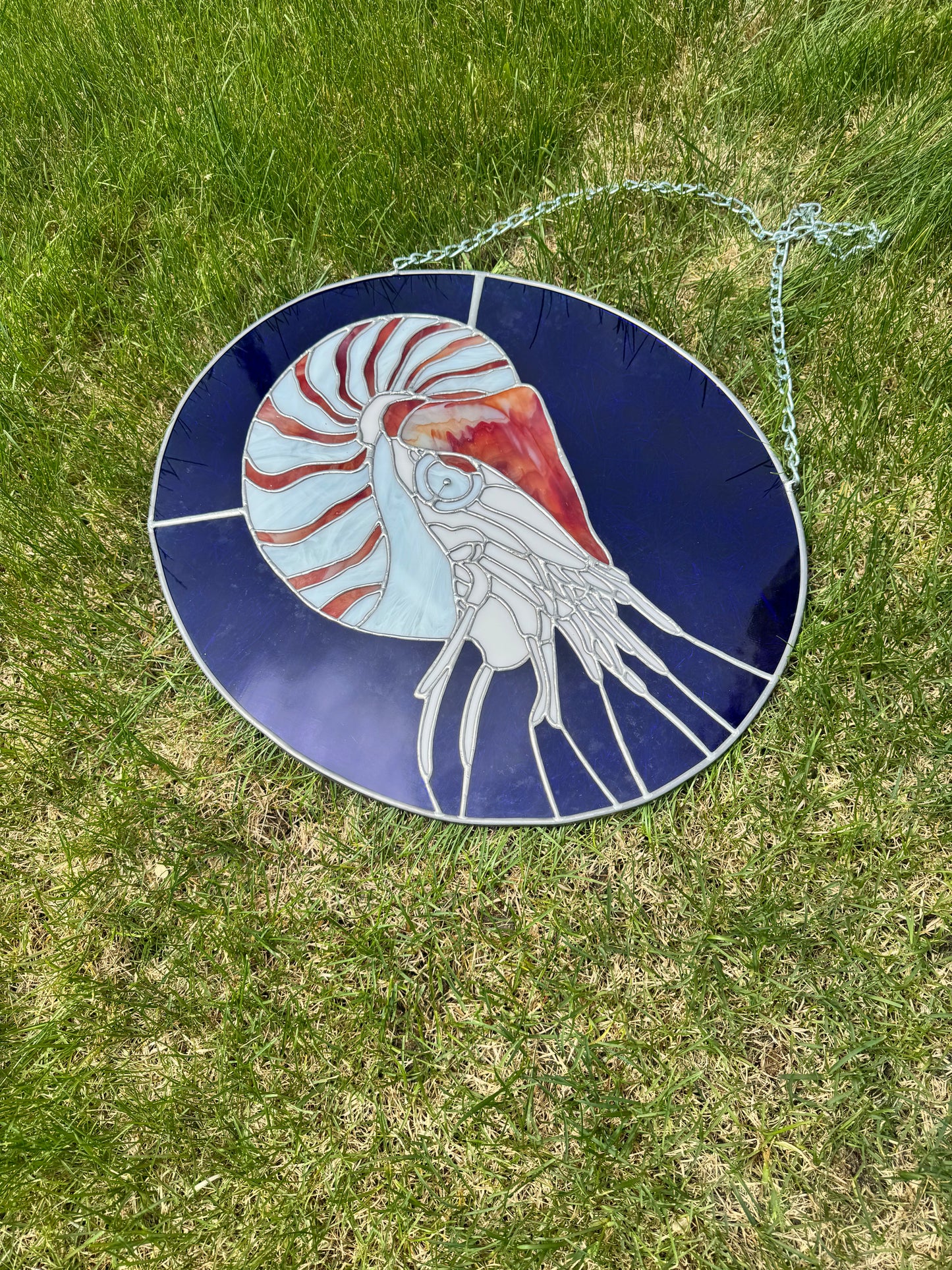 Nautilus