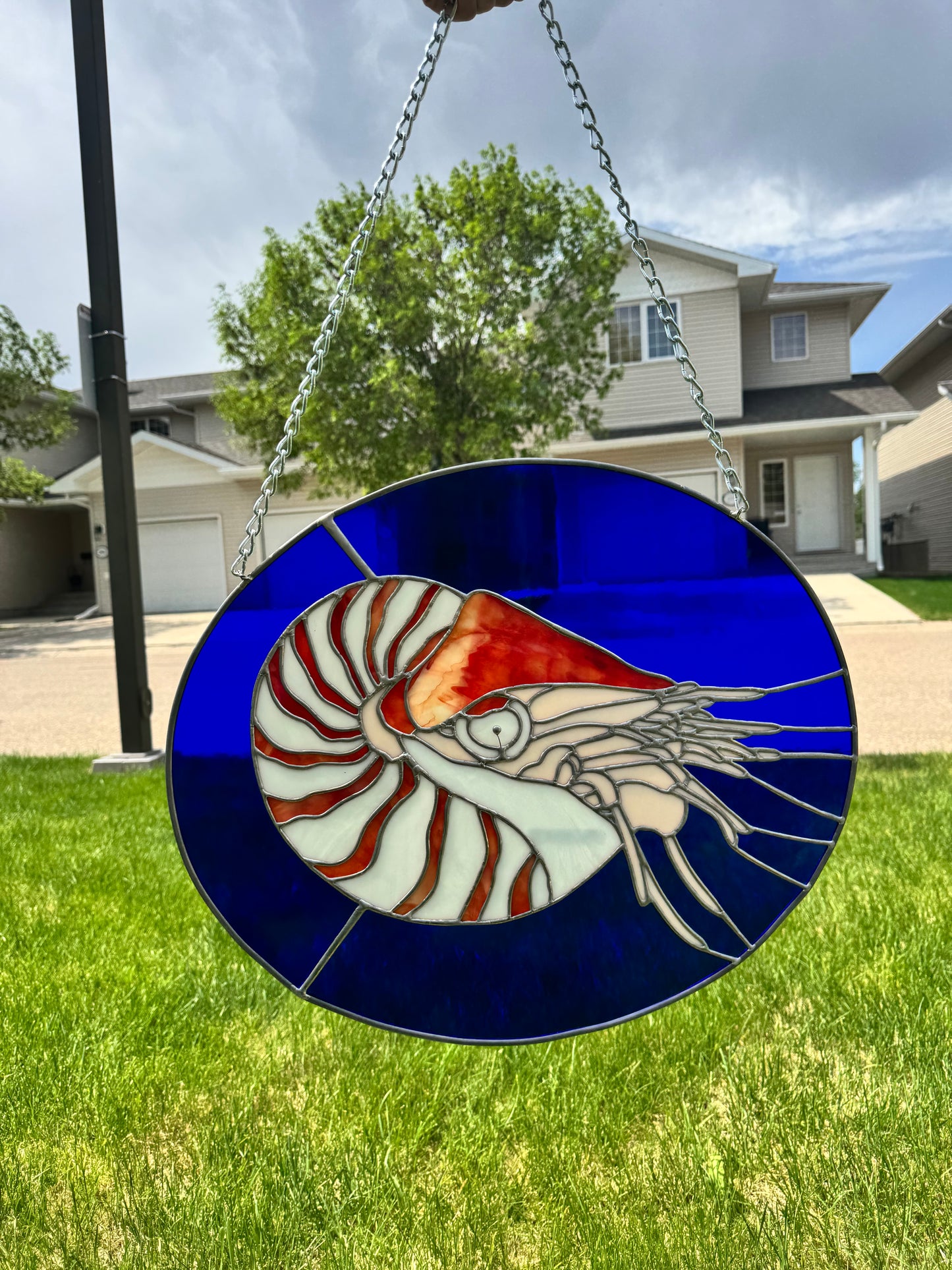 Nautilus