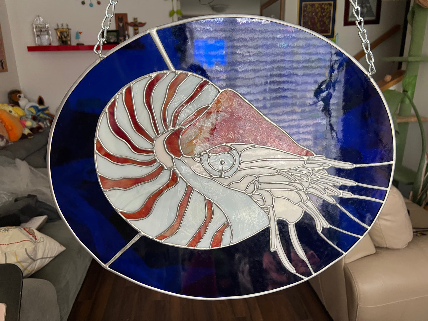 Nautilus