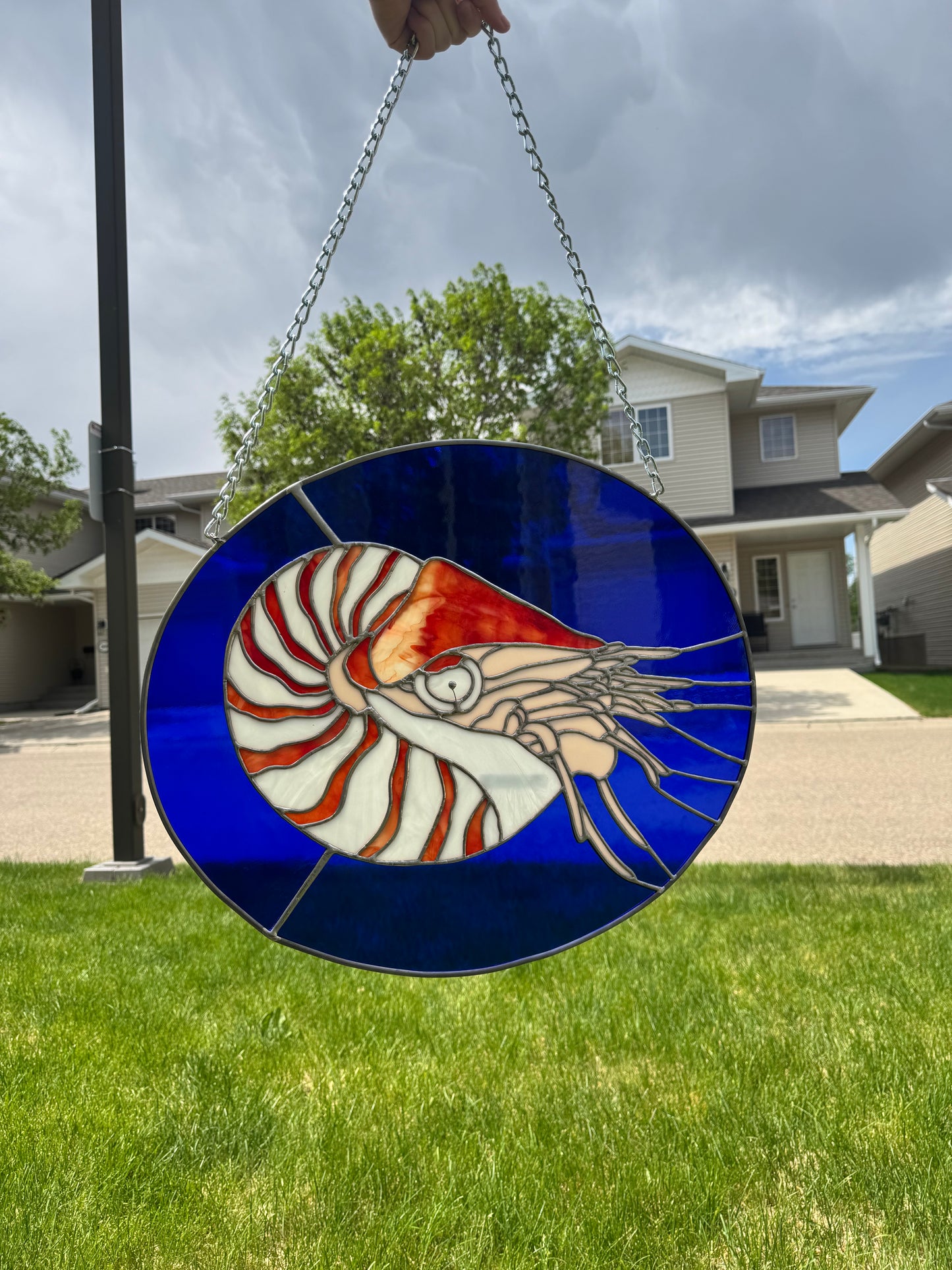 Nautilus