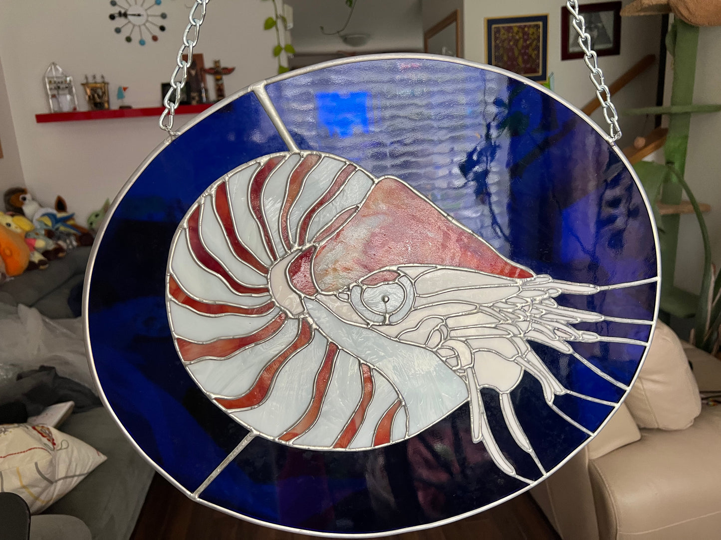 Nautilus