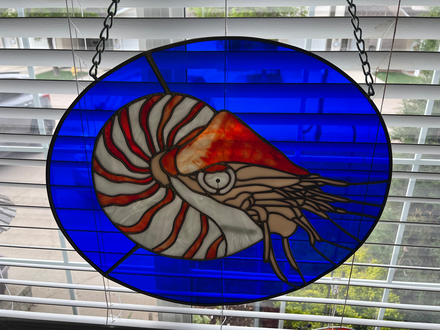 Nautilus