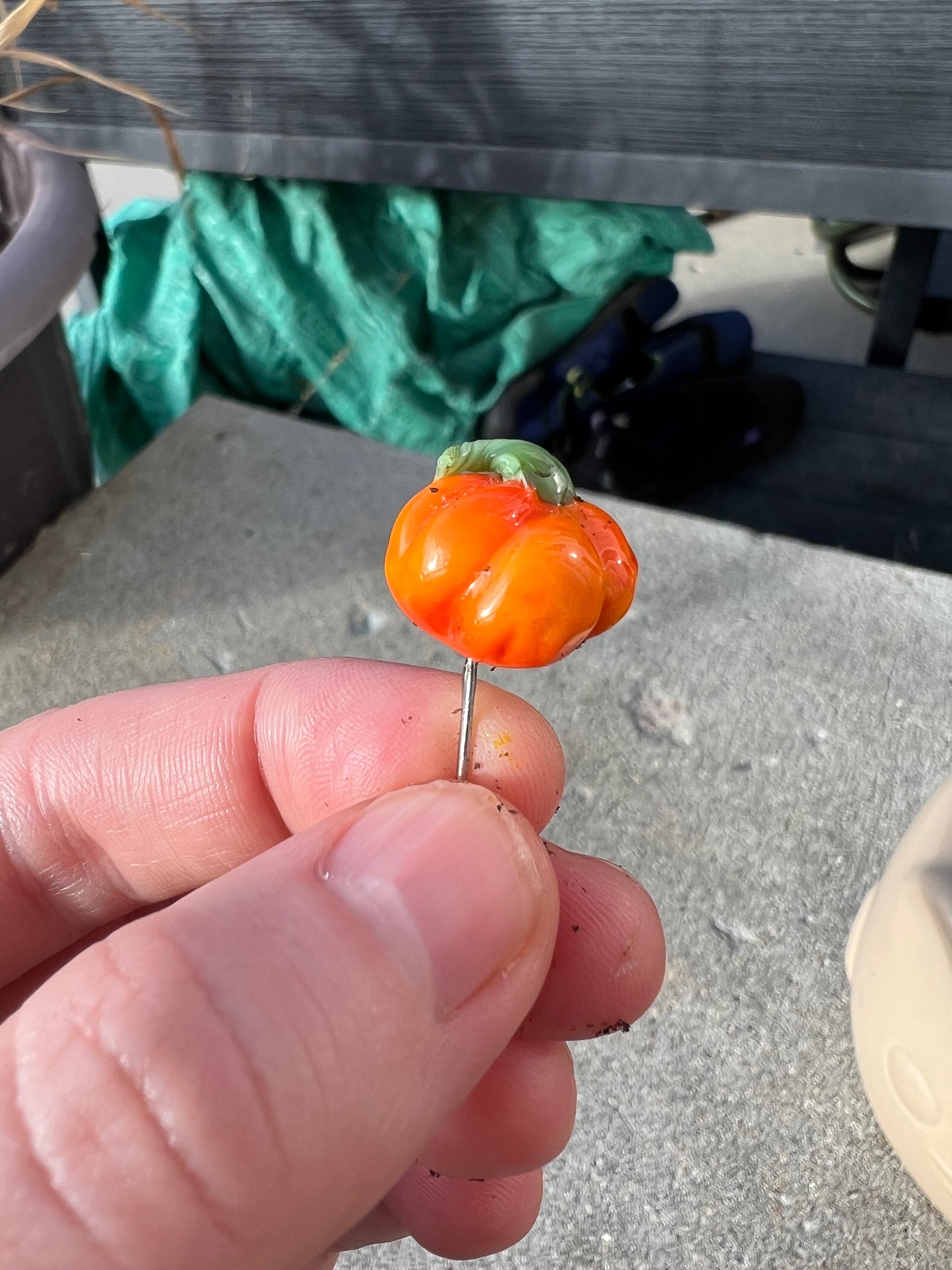 Pumpkin short plant stake