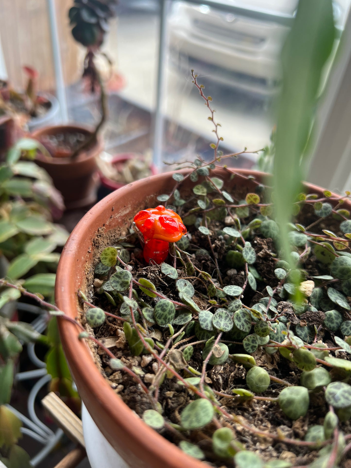 Mushroom short plant stake