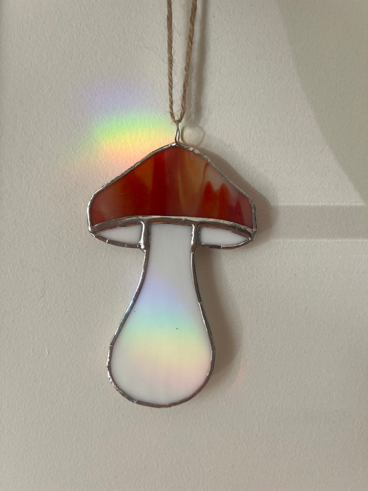 Mushroom Class @The Glassy Gardener’s Studio