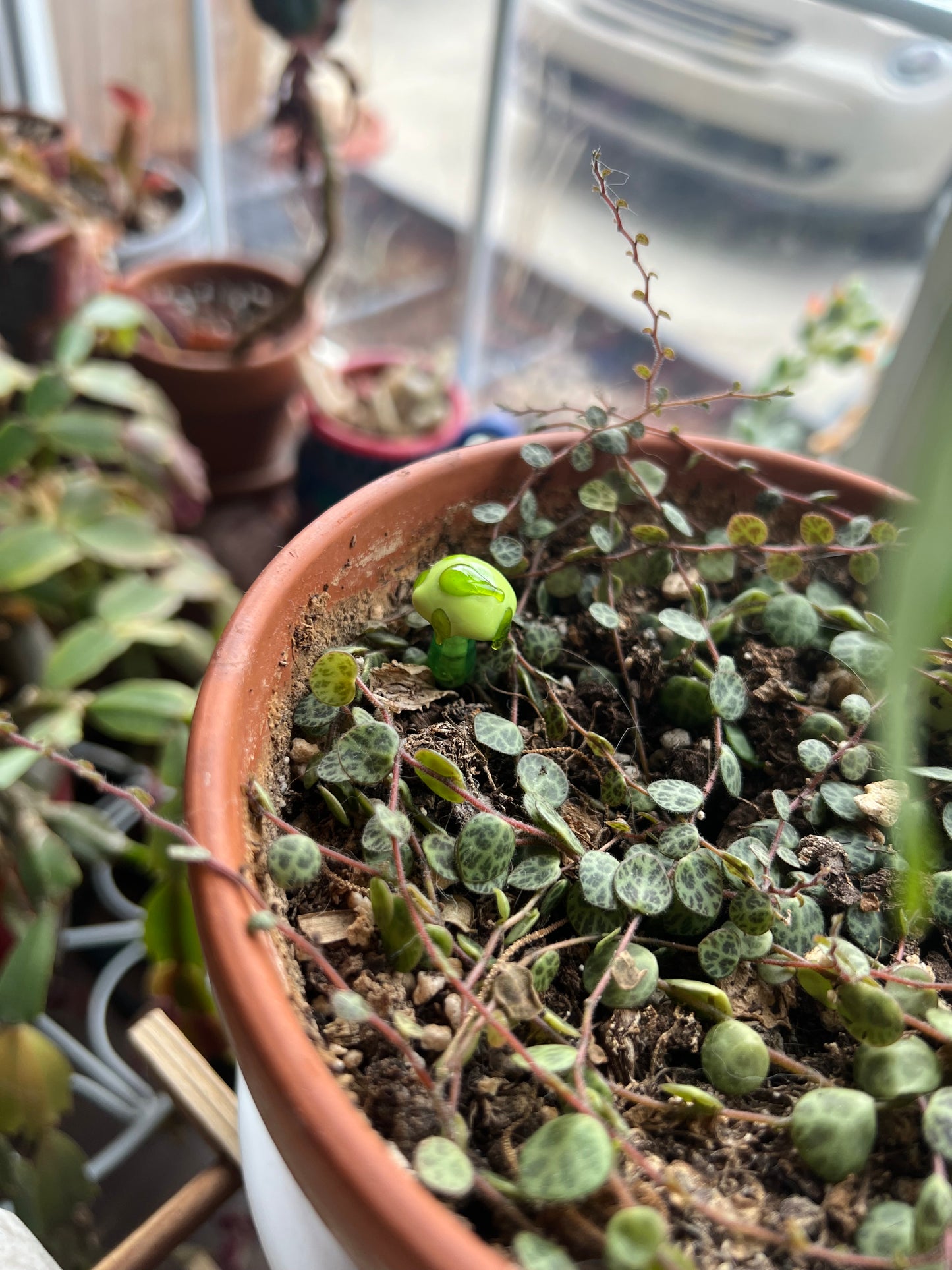 Mushroom short plant stake