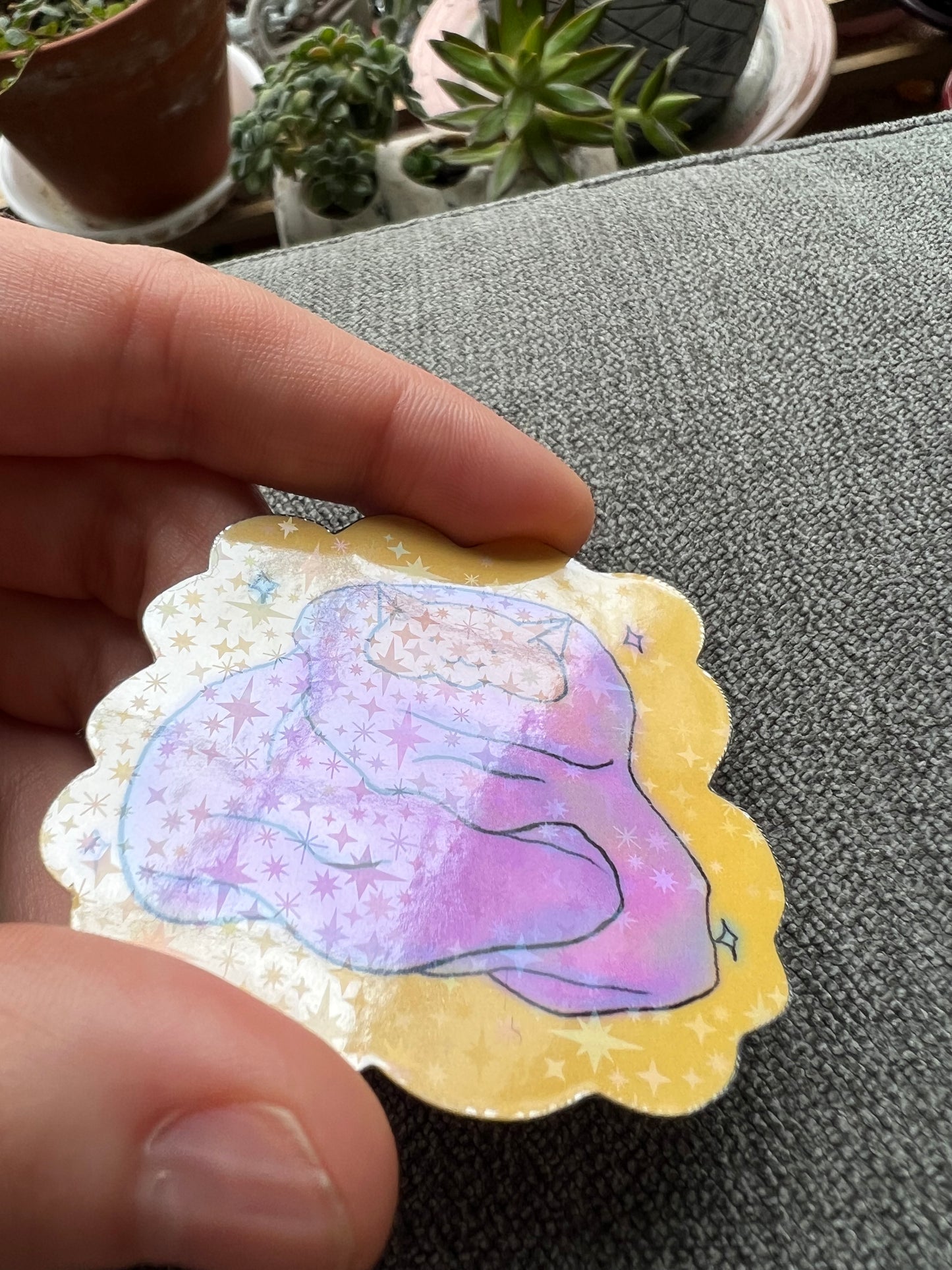 Cozy cat sticker