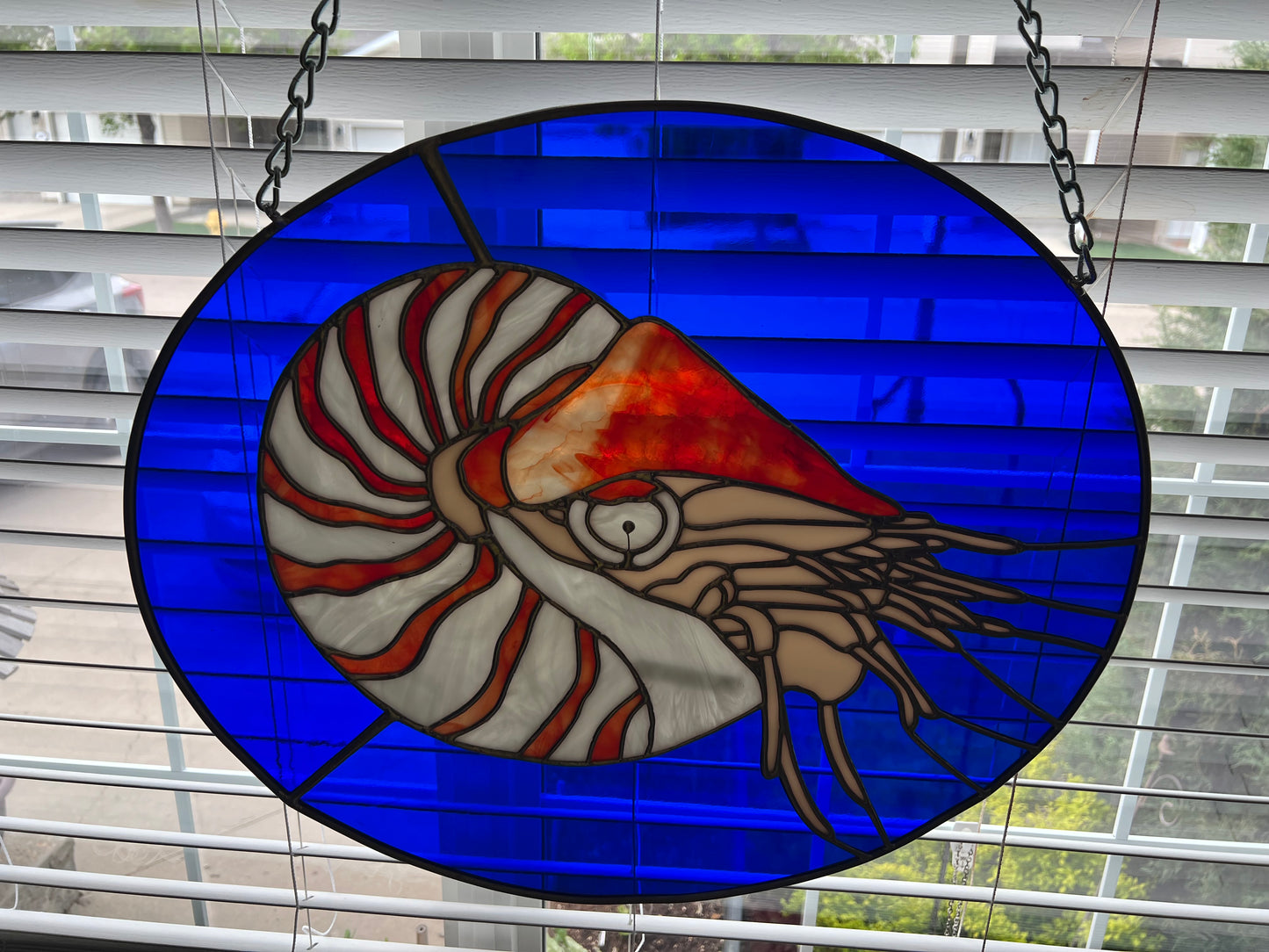 Nautilus