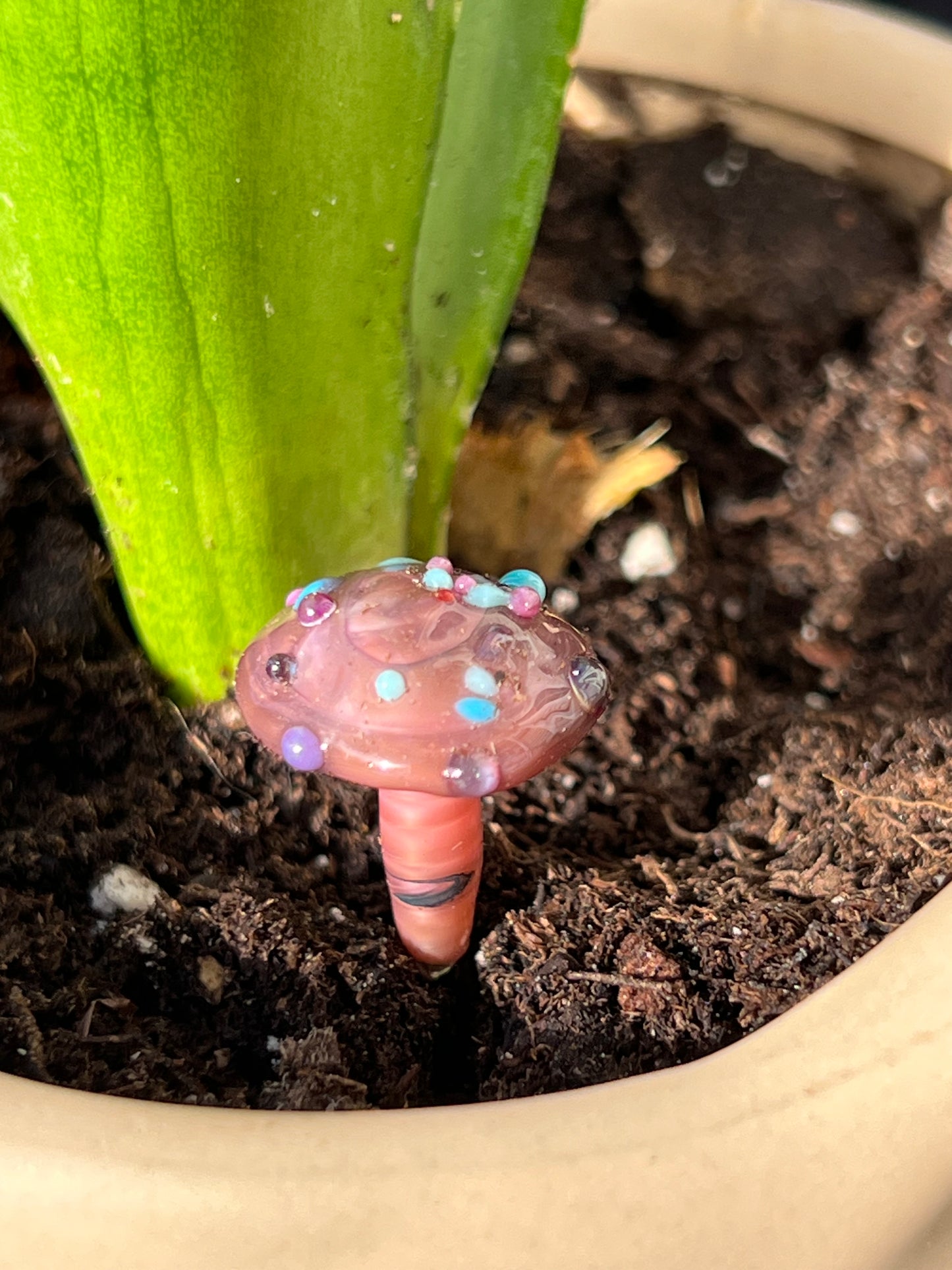 Mushroom short plant stake