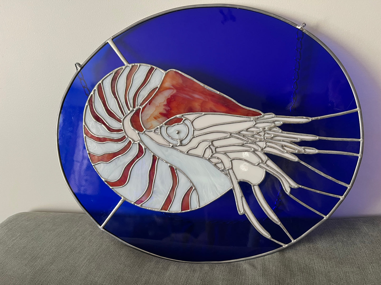 Nautilus