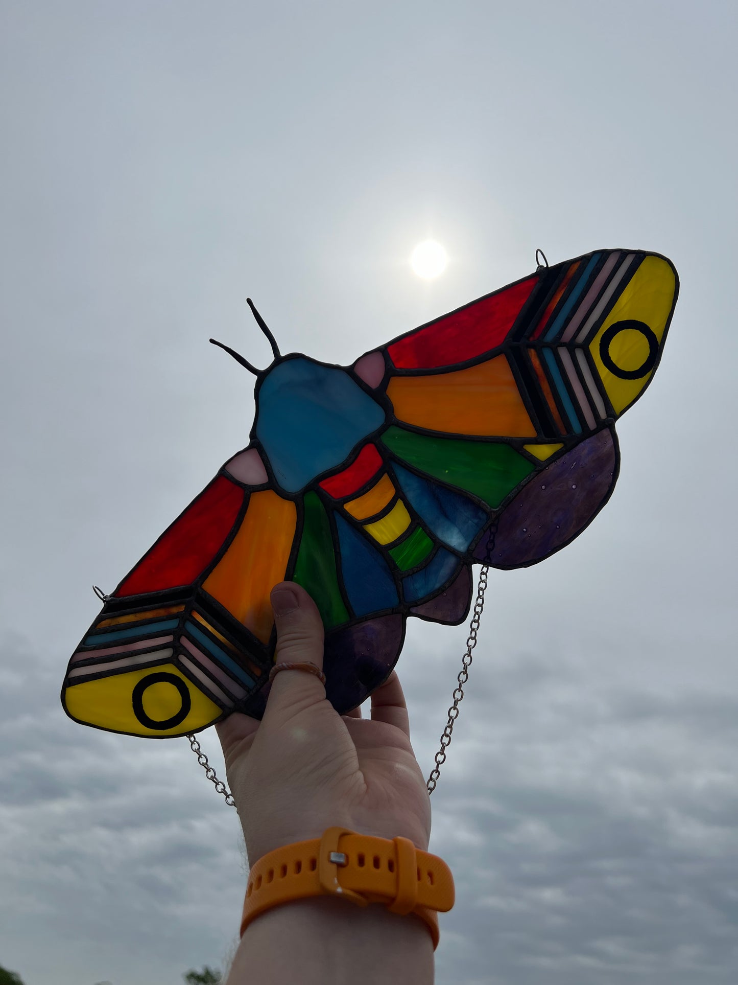 Pride Moth