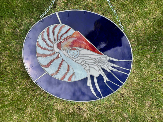 Nautilus