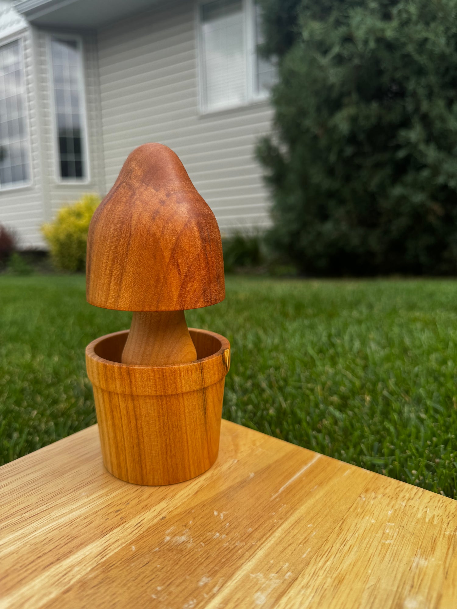 Wood
