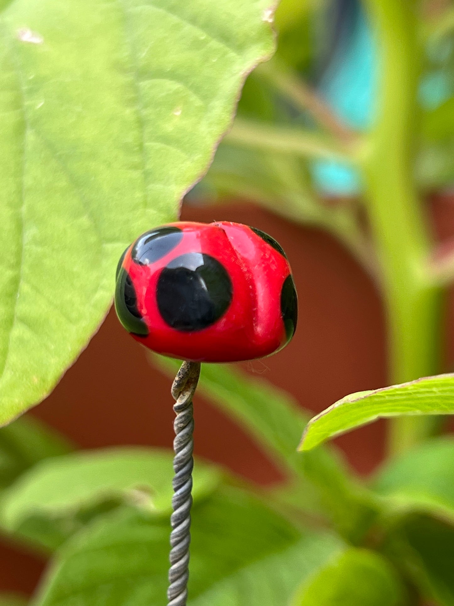 Long Lampwork Plant Stake