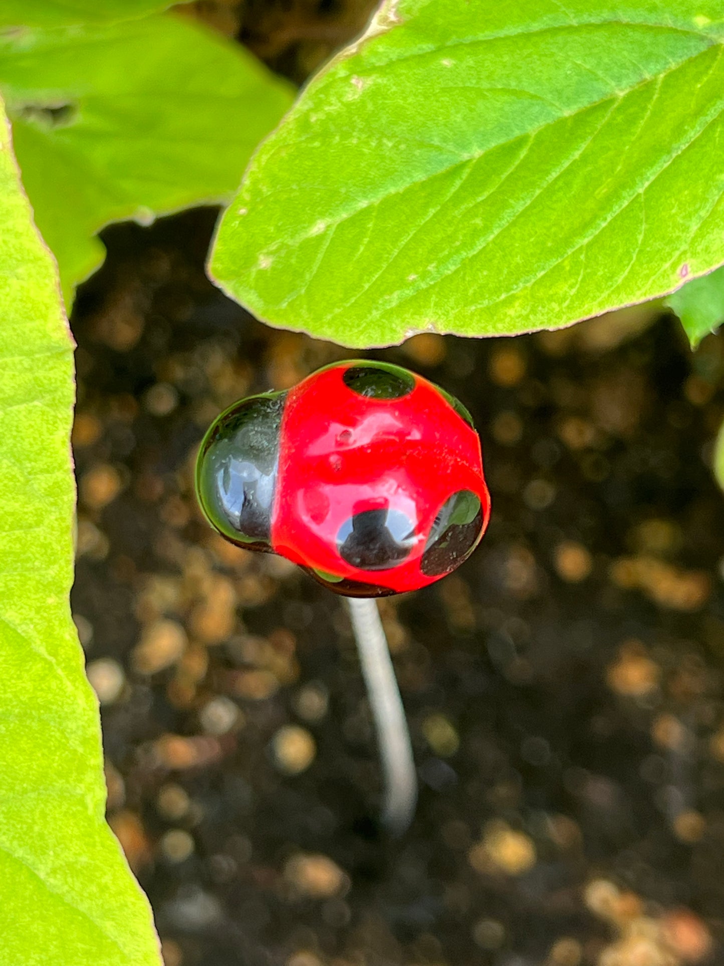 Long Lampwork Plant Stake