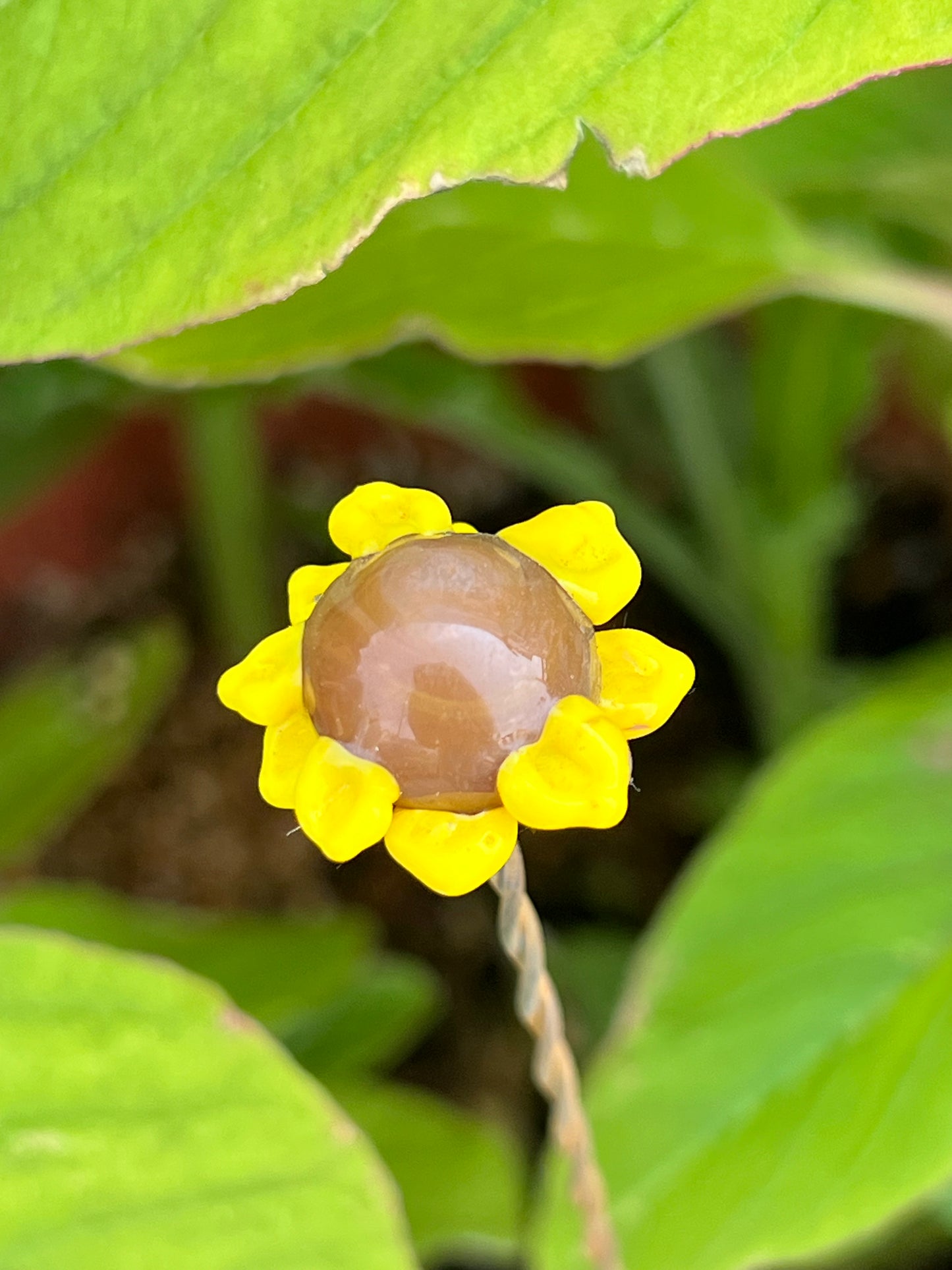 Long Lampwork Plant Stake