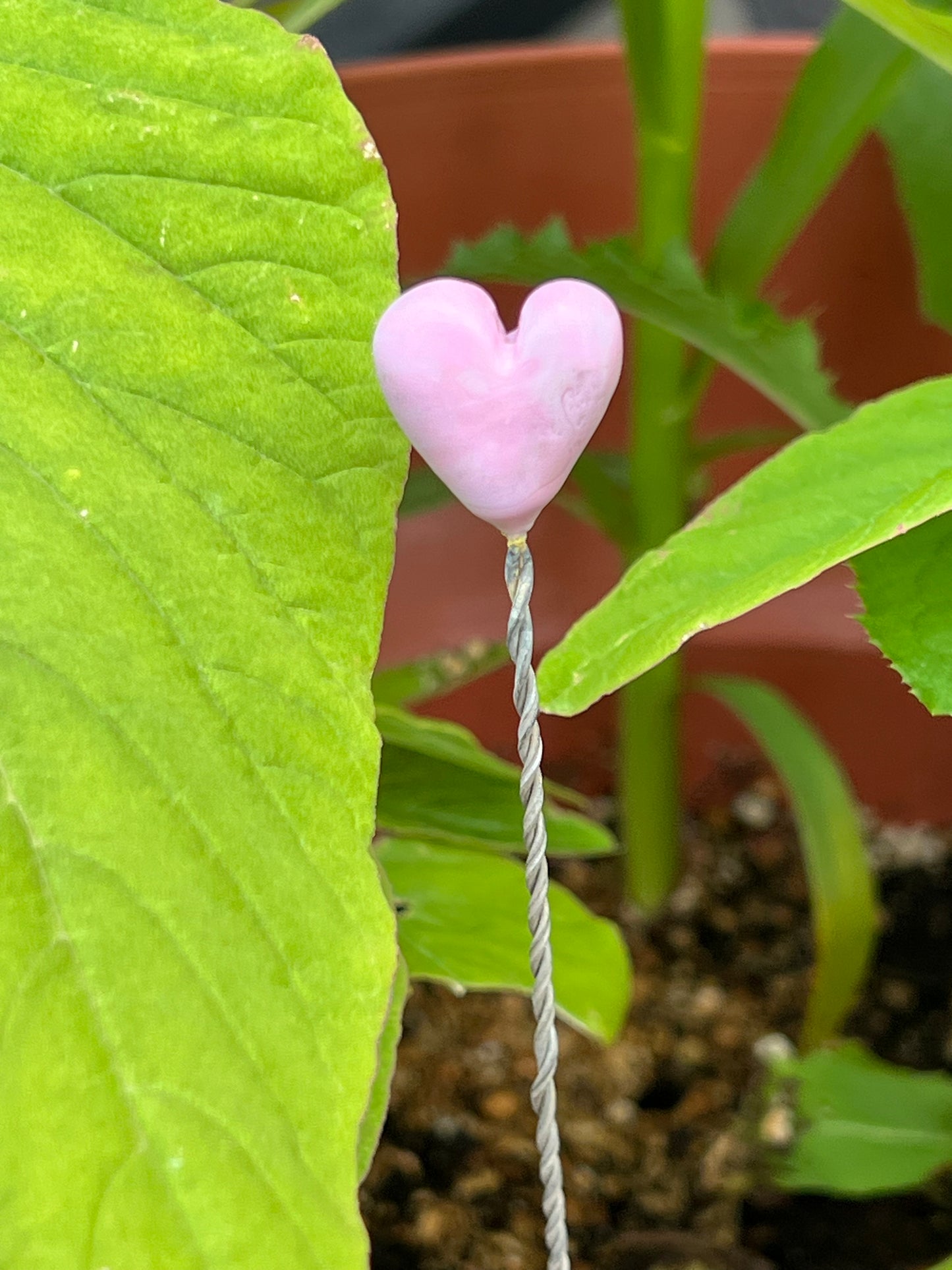 Long Lampwork Plant Stake