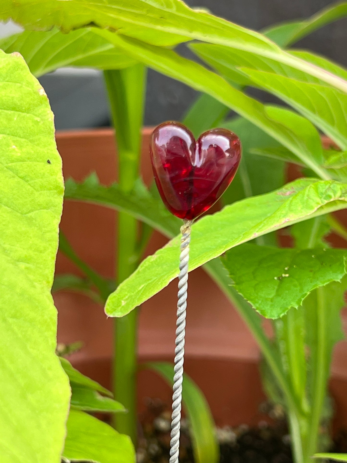 Long Lampwork Plant Stake