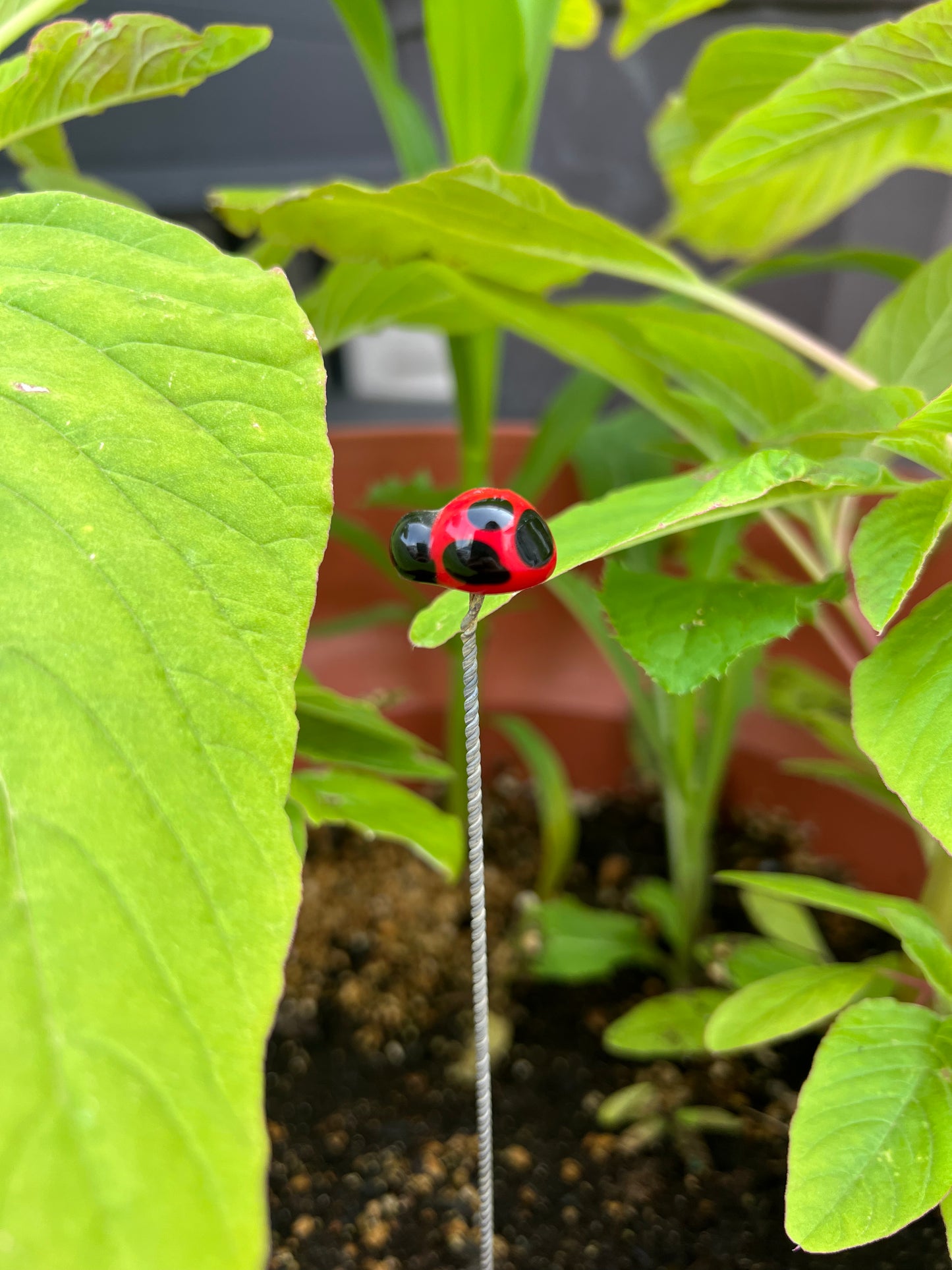 Long Lampwork Plant Stake